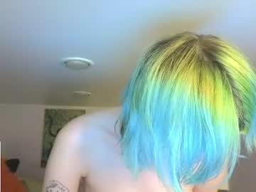 littlekittensta