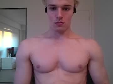 thelevimeyers